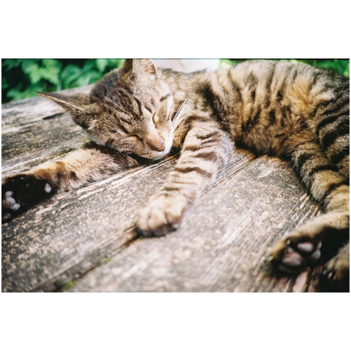 Aparat Lomo MC-A / czarny