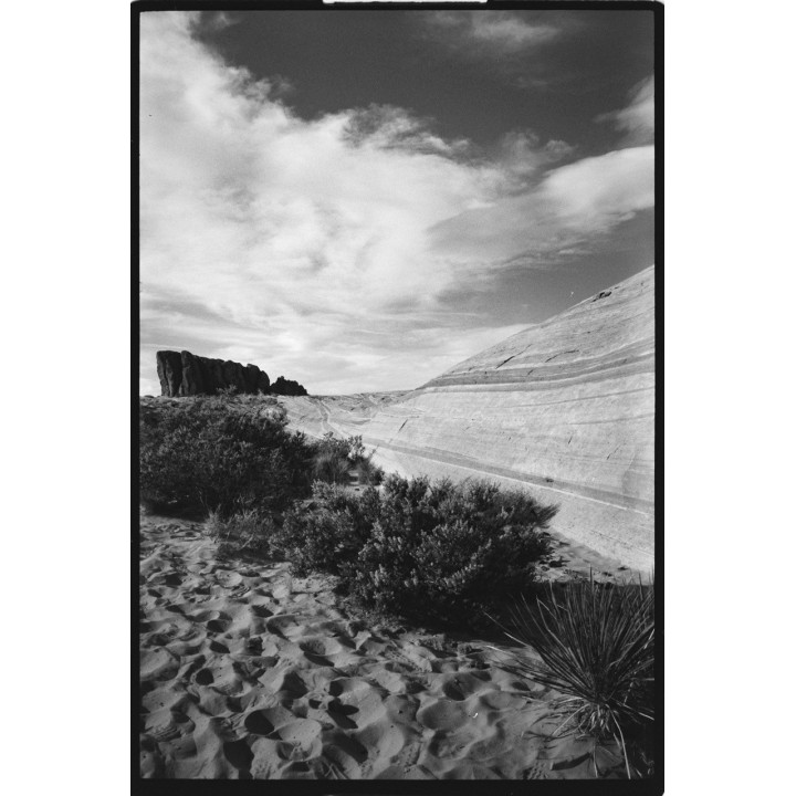 Film OptiMono 100 / 36