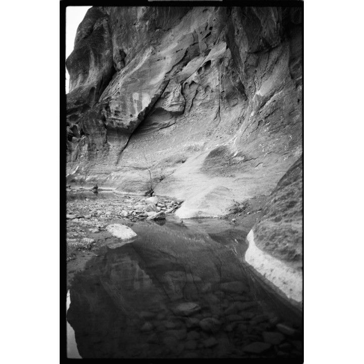 Film OptiMono 100 / 36
