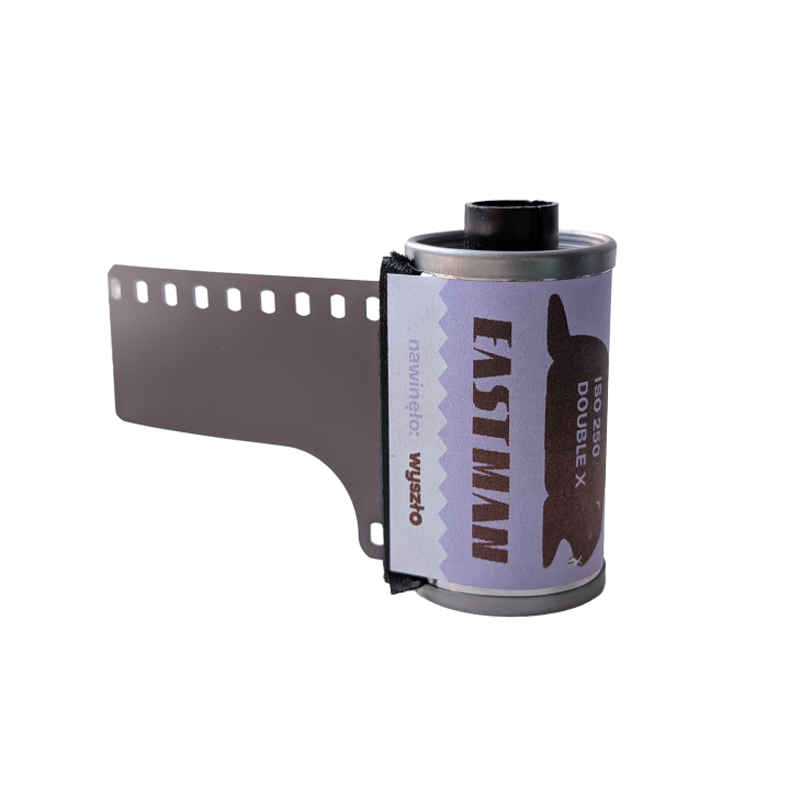 Film Eastman Double-X 250D
