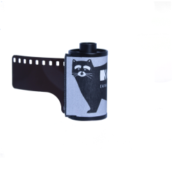 Film Kodak Ektachrome E100 / 36