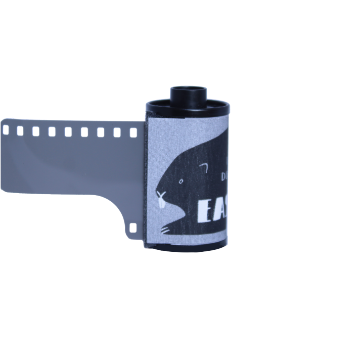 Film Eastman Double-X 250D