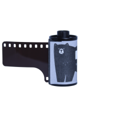 Film Kodak Vision3 500T / 36