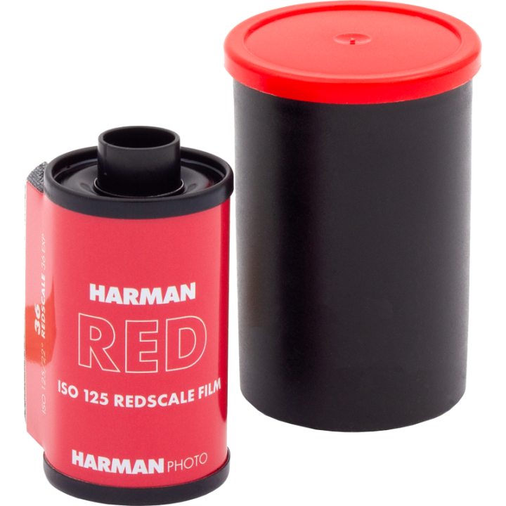 Film Harman Red 125 / 36
