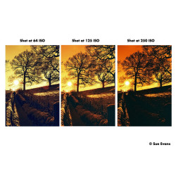 Film Harman Red 125 / 36