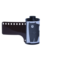 Film Kodak Vision3 250D / 36