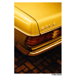 Film Harman Red 125 / 120