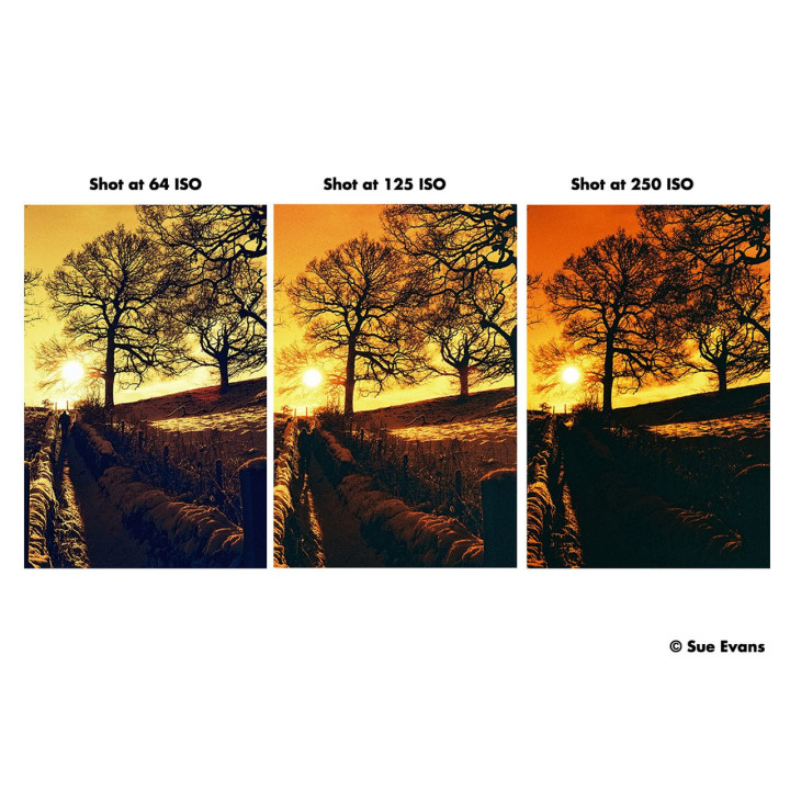 Film Harman Red 125 / 120