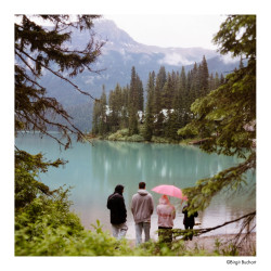 Film Harman Phoenix II 200 / 120