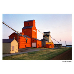 Film Harman Phoenix II 200 / 120