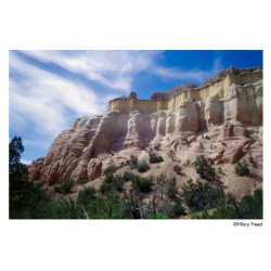 Film Harman Phoenix II 200 / 120