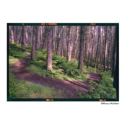 Film Harman Phoenix II 200 / 120