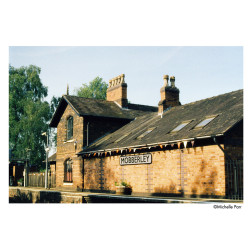 Film Harman Phoenix II 200 / 36