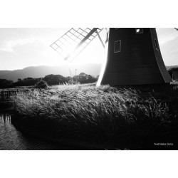 Aparat Kodak Snapic A1 / Rhino Grey