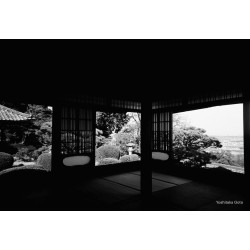 Aparat Kodak Snapic A1 / Rhino Grey